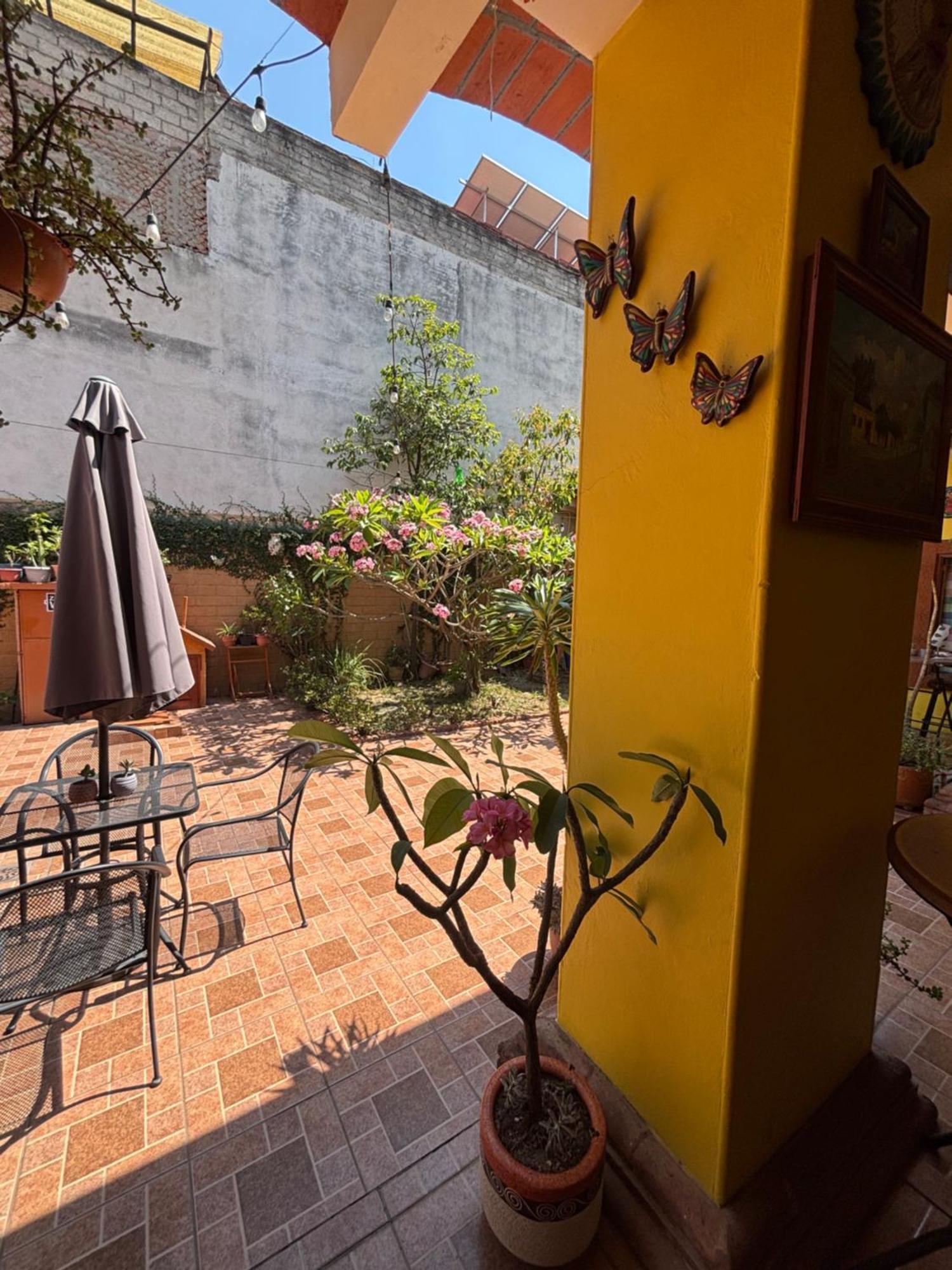 Hotel Posada "Mi Rosita" Oaxaca Buitenkant foto